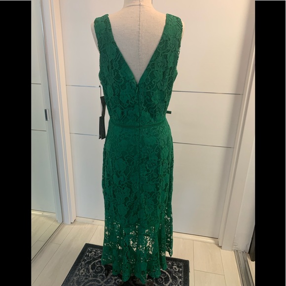 NWT! Eva Mendes Fiesta Collection Alexia Lace Sheath Dress size 8. - Picture 3 of 14